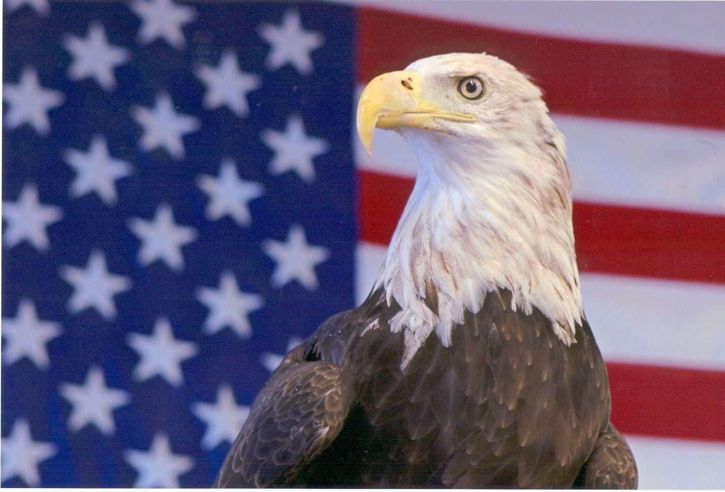 New Freedom Insurance Agency Home